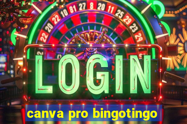 canva pro bingotingo